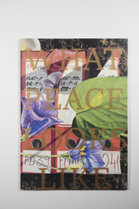 What Peace Looks Like book cover